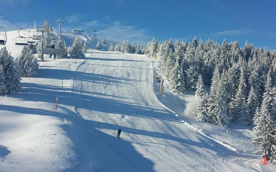 Apartment Snow Garden Kopaonik Dış mekan fotoğraf